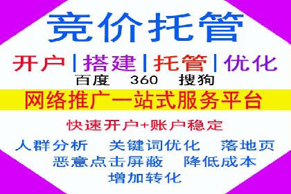 SEM托管服务案例：实现品牌价值最大化