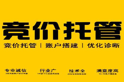 竞价广告案例分析：行业竞争激烈下的突围之路